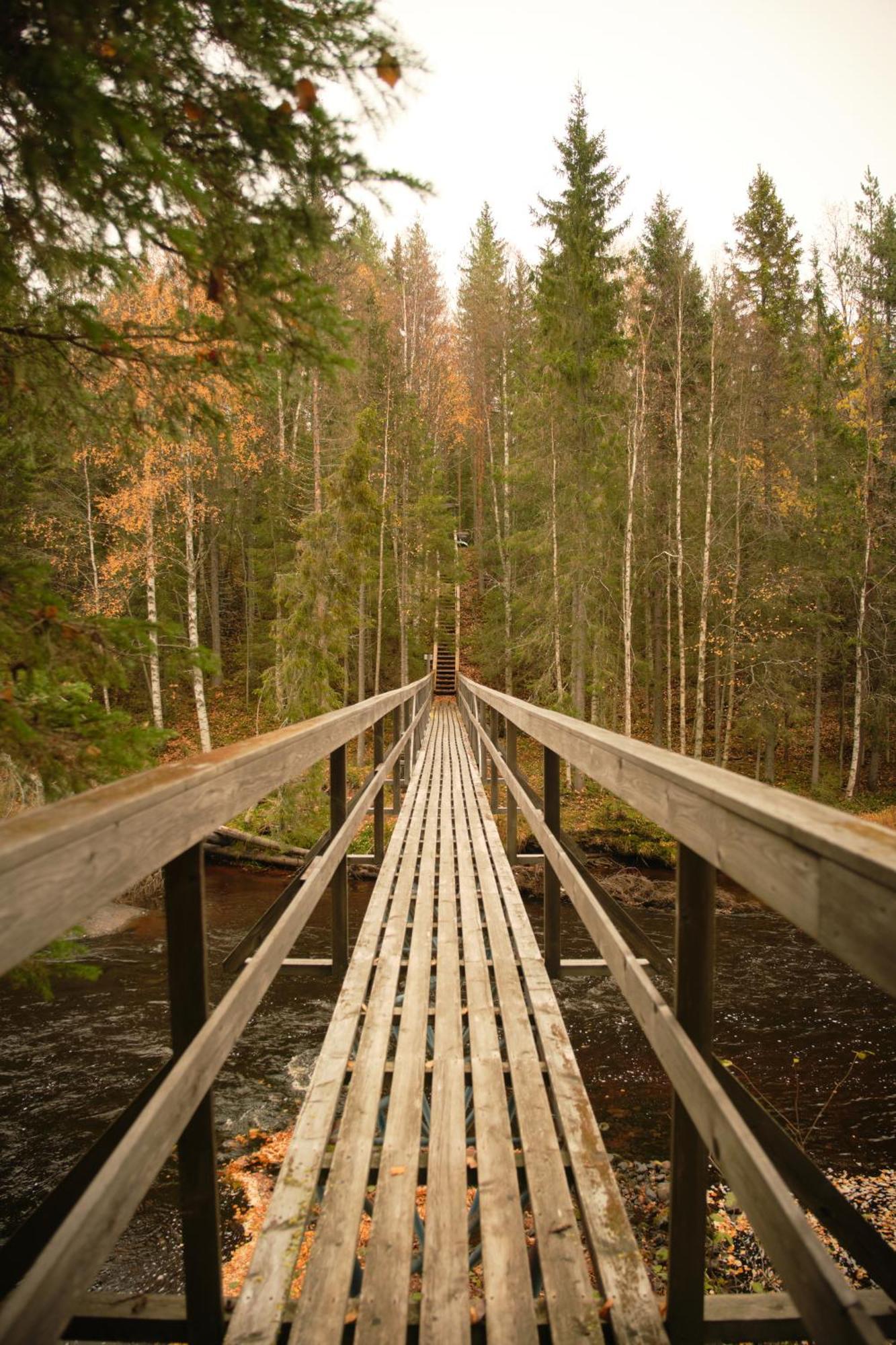 Langforsen Glamping & Lapland Experience 호텔 Lapptrask 외부 사진