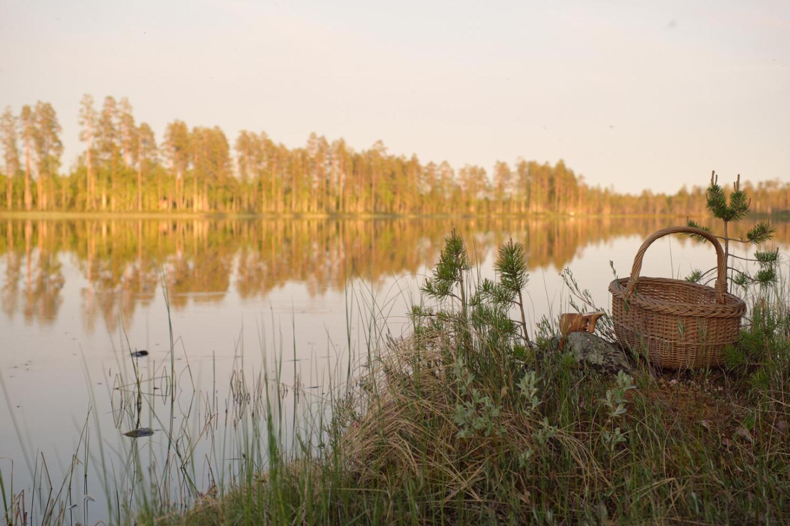 Langforsen Glamping & Lapland Experience 호텔 Lapptrask 외부 사진