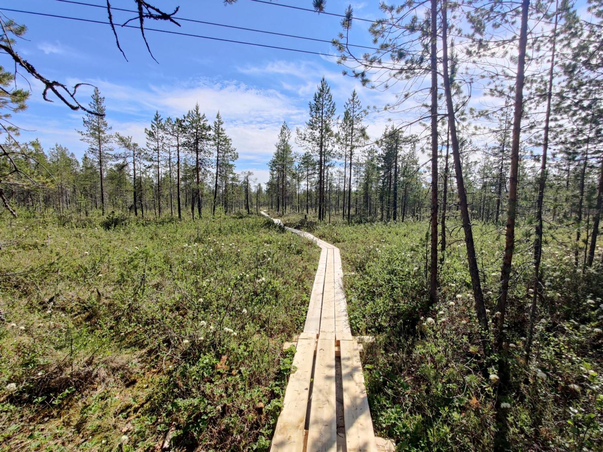 Langforsen Glamping & Lapland Experience 호텔 Lapptrask 외부 사진