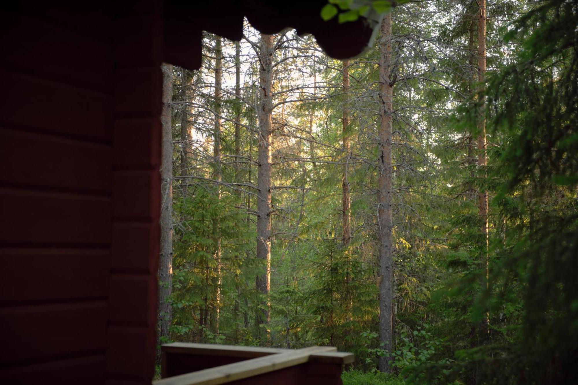 Langforsen Glamping & Lapland Experience 호텔 Lapptrask 외부 사진